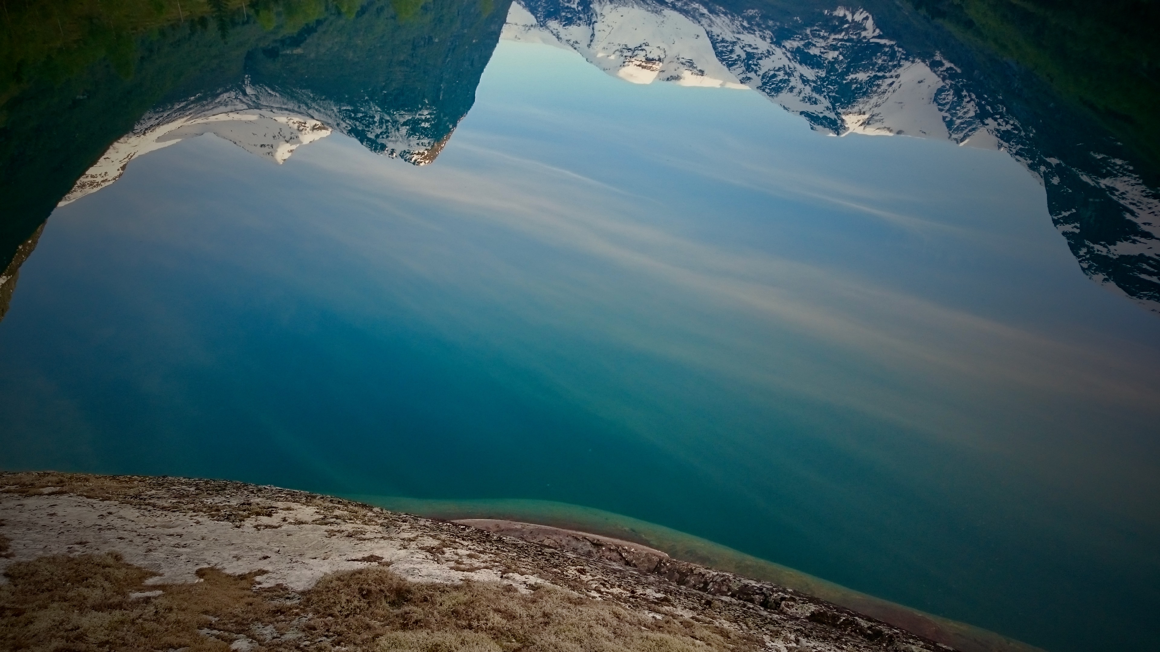 fysioss background